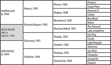 bold ruler horse|Bold Ruler Pedigree Page .